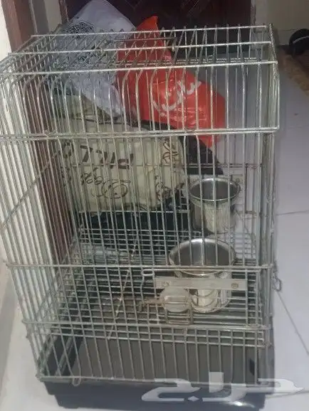 قفص ببغاء 7