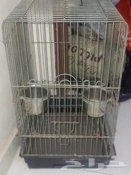 قفص ببغاء 6