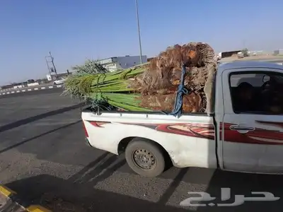 السلام عليكم ورحمه الله وبركاته عندنا نخل طيب نتواجد في الطا 5