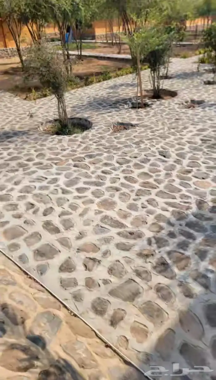 تكحيل...ربراب تلييس جدران 3