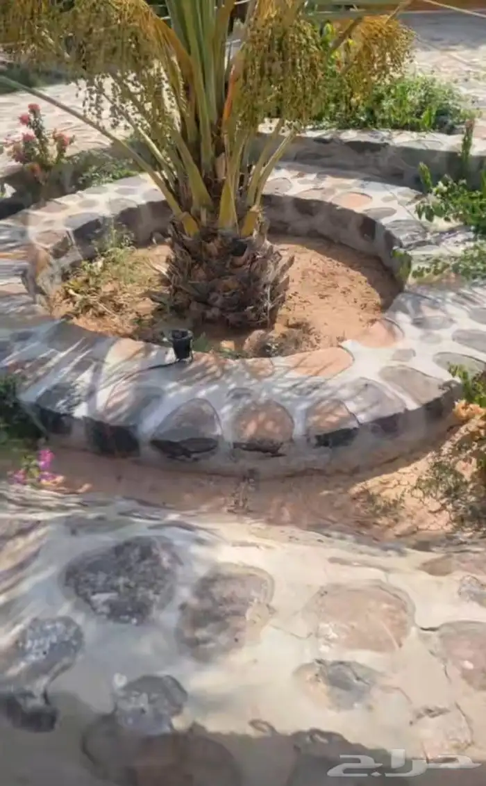 تكحيل...ربراب تلييس جدران 1