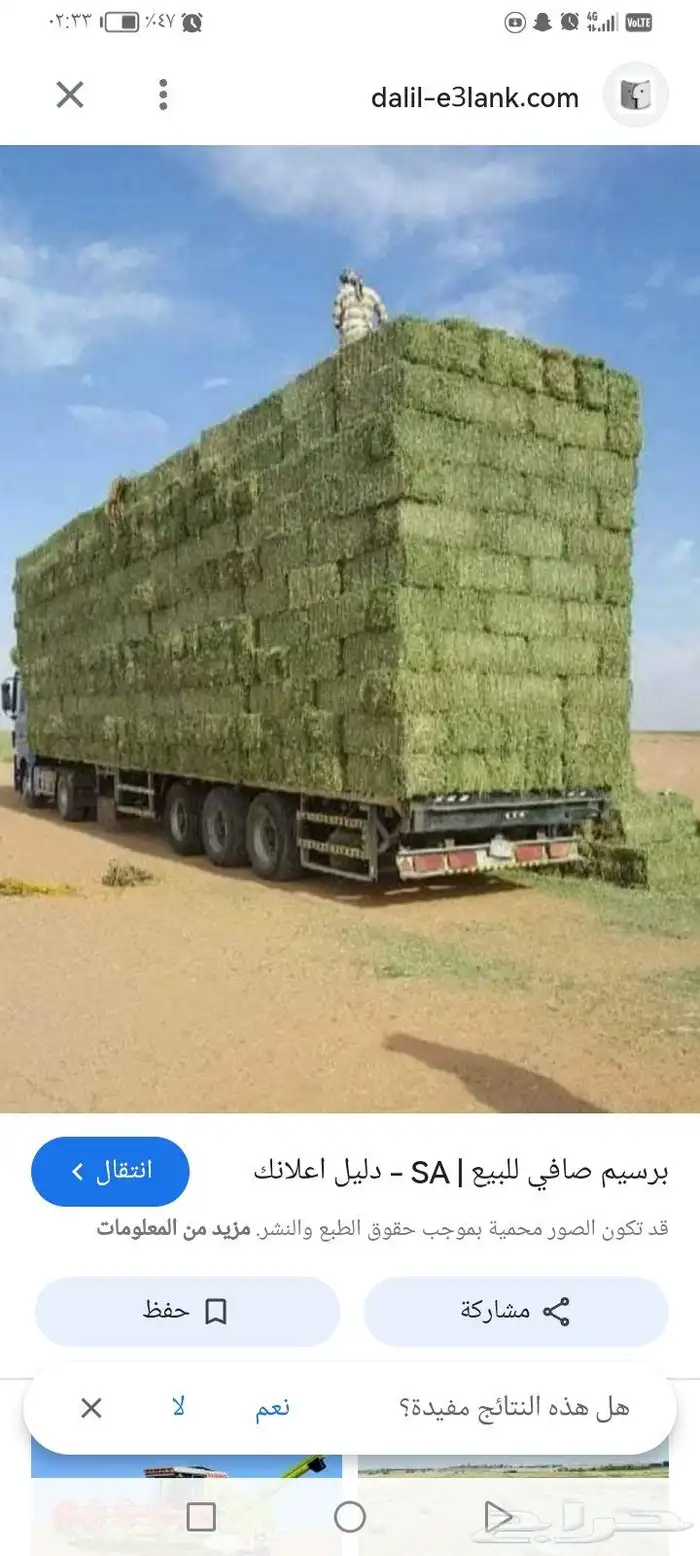 احراج البرسيم والاعلاف والروتس والتبن والذره 2