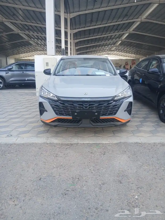 دونج. فينج. شاين. ون 2025 0