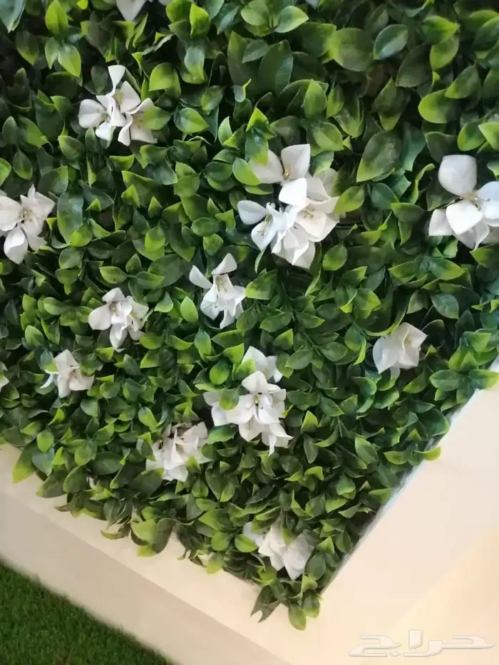 تنسيق حدائق 5