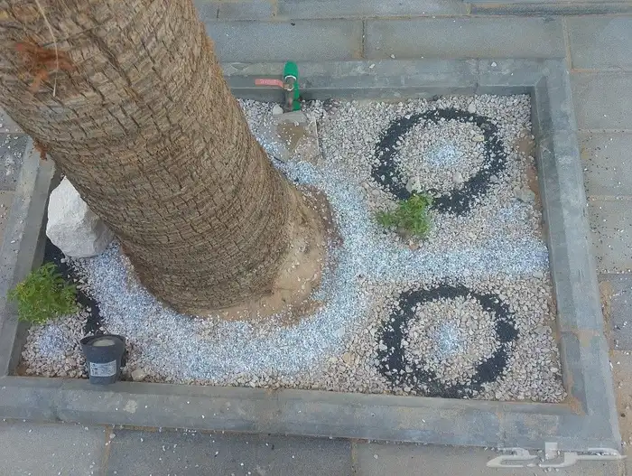 تركيب شبكات الري خدمات الزراعه والنخيل 3