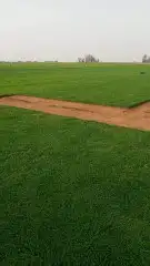 تصميم شلالات 4