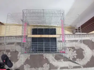 قفص للبيع كبير ببغوات كبيره مكاو كاسكو 1