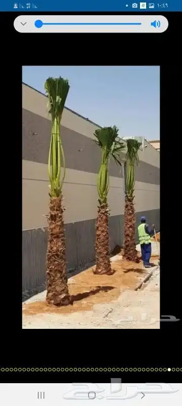 واشنطن للبيع 4