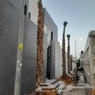واشنطن للبيع 7