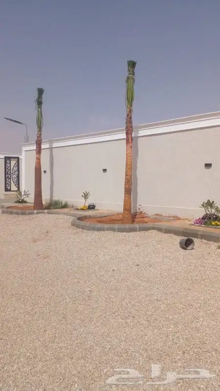واشنطن للبيع 6