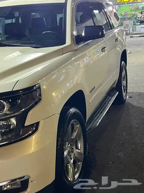 تاهو لولي 2015 1