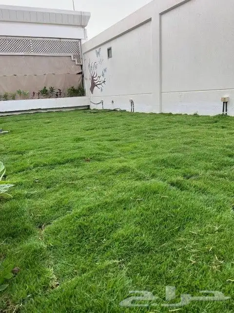 تنسيق حدائق جدة 3