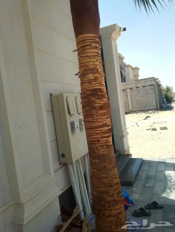 تركيب شبكات الري خدمات الزراعه والنخيل 9