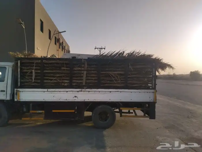 سعف جديد أخضر للعرايش والمظلات 1