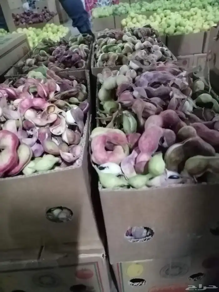 فواكه الطايف فاخره مع التوصيل مجاني 8