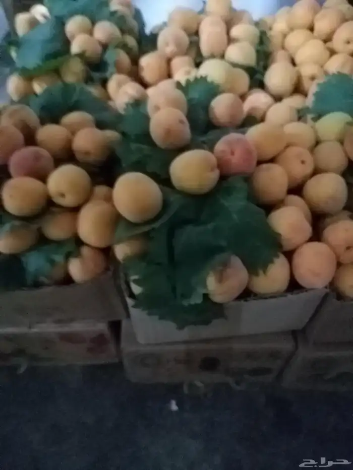 فواكه الطايف فاخره مع التوصيل مجاني 6