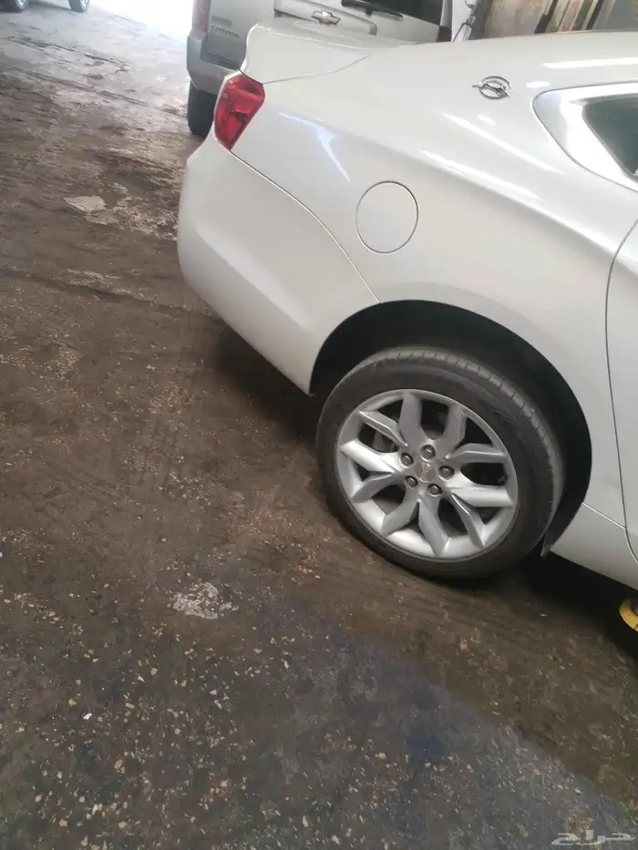 دودة دركسيون أمبالا شد بلد 0