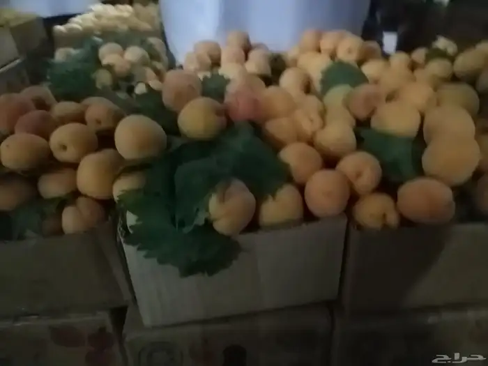 فواكه الطايف فاخره مع التوصيل مجاني 9