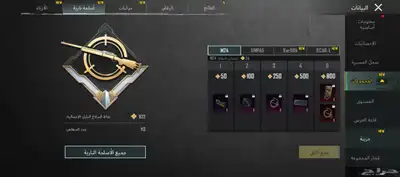 حساب ببجي للبيع 5