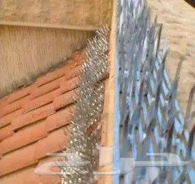 شركة تنظيف بالخبر تنظيف كنب مجالس تنظيف فلل شقق 8