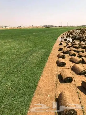 مشتل زراعي بأسعار مناسبة 3