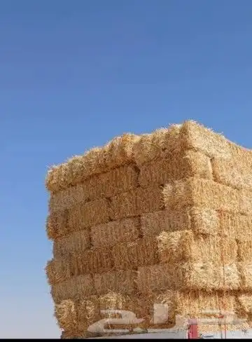 جميع انواع الاعلاف 0