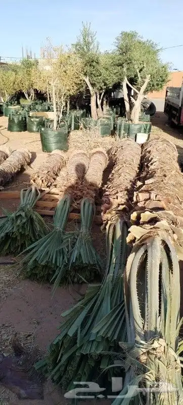 مشتل تنسيق حدائق 2