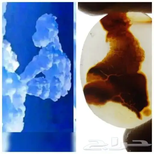 أحجار مصوره طبيعه للبيع 7
