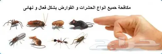 شركة تنظيف كنب مجالس تنظيف فلل شقق بالدمام 2