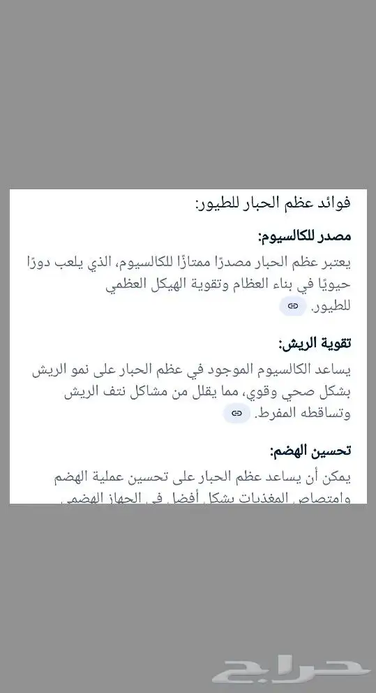 عظم حبار للبيع 0