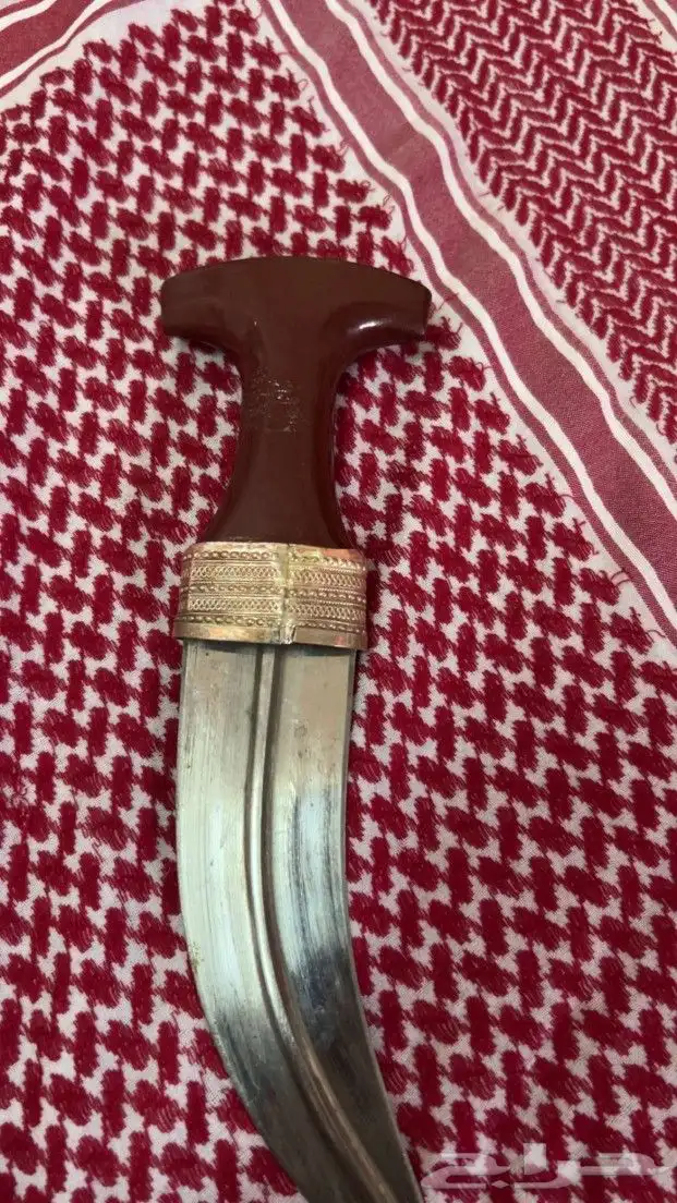 جنبيه 6