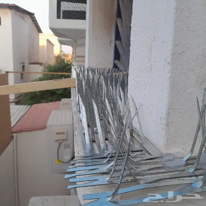 شركة تنظيف كنب مجالس تنظيف فلل شقق بالدمام 7