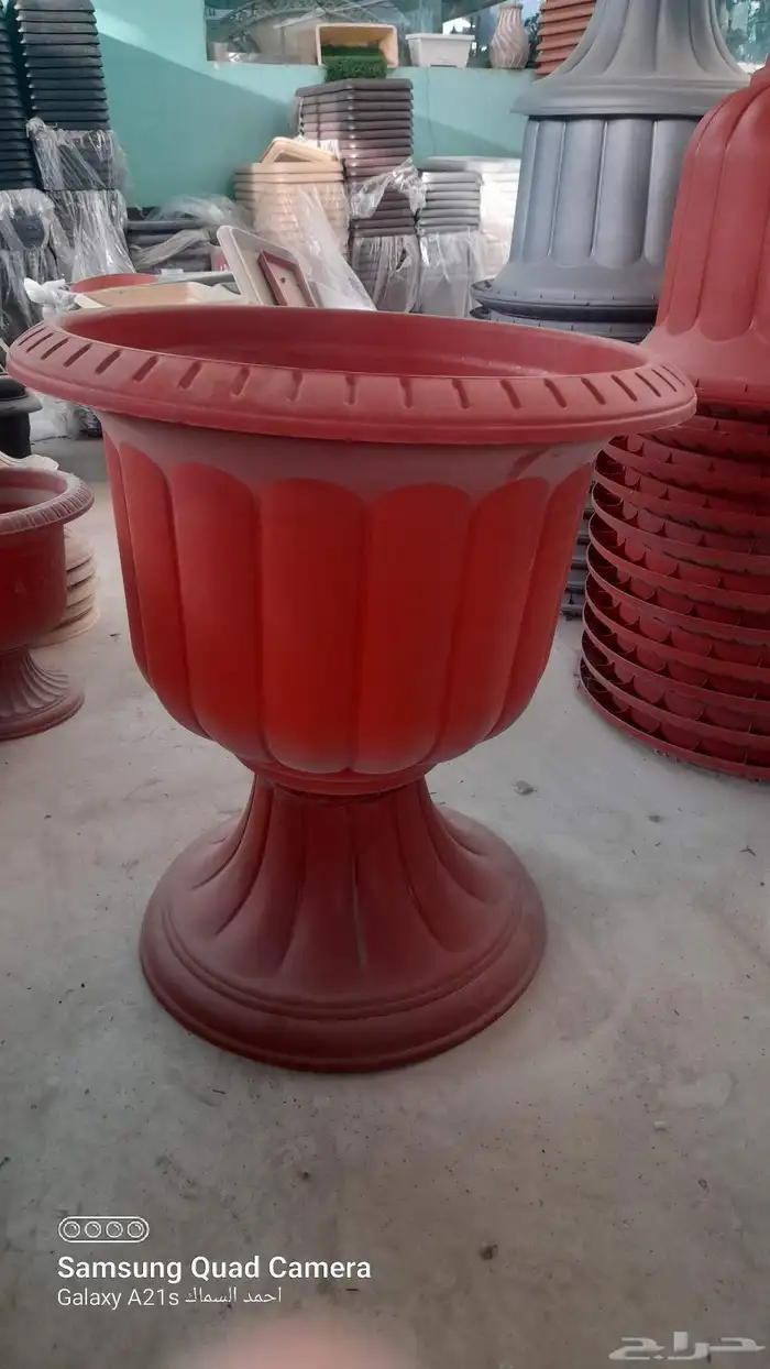 مزرعة الياسمين 6