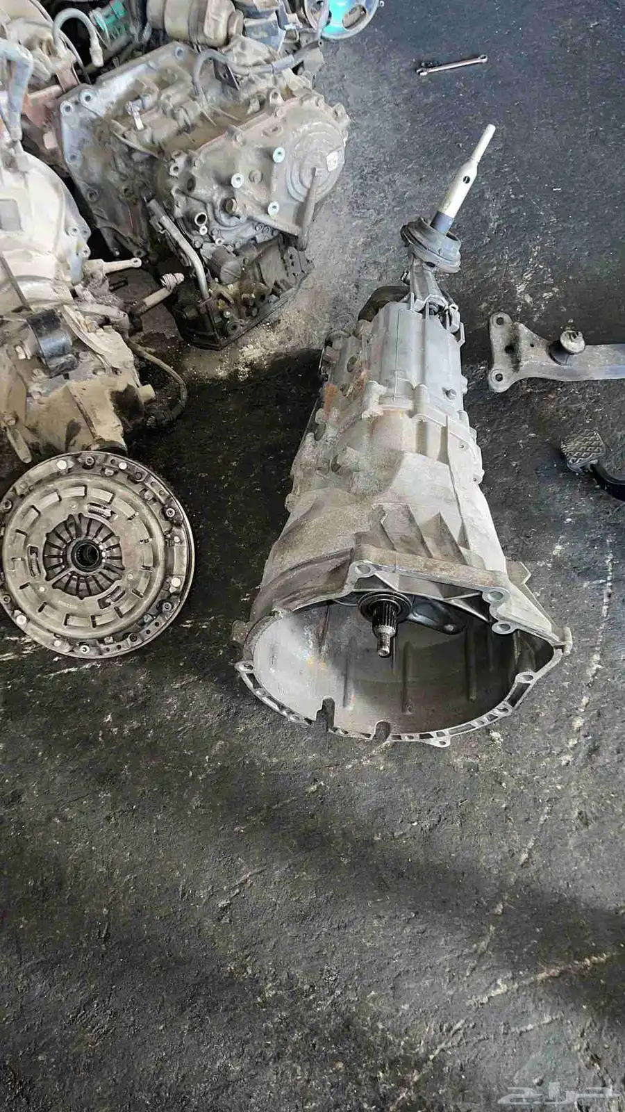 قيور ZF ست نمر . خمس نمر 7