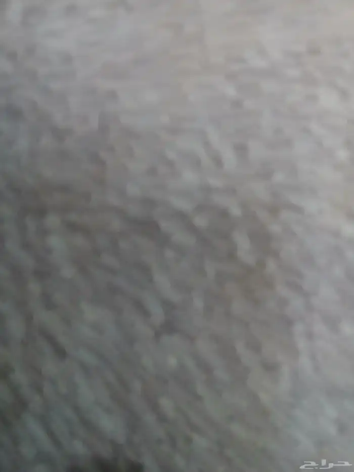 بينات موبايلي 0