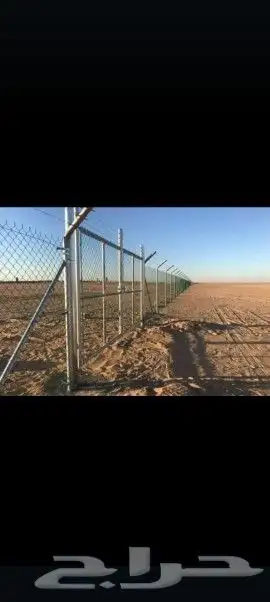شبوك المزارع والملاعب ونخيل 0