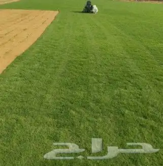 تركيب الثيل سي 2000 في الرياض. تأسست المؤسسة بهدف تلبية الاح 1