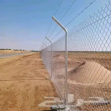 شبوك المزارع والملاعب ونخيل 9