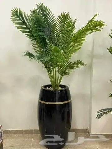 مطلوب موزعين فايبر جلاس 6