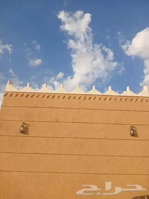 شبوك المزارع والملاعب ونخيل 2