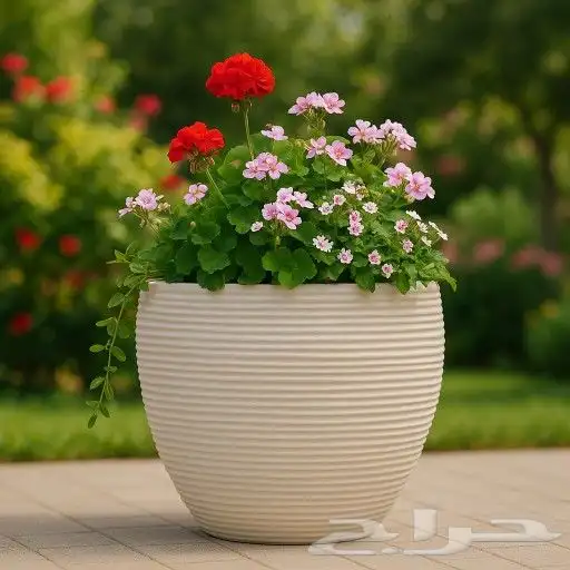 مطلوب موزعين فايبر جلاس 0