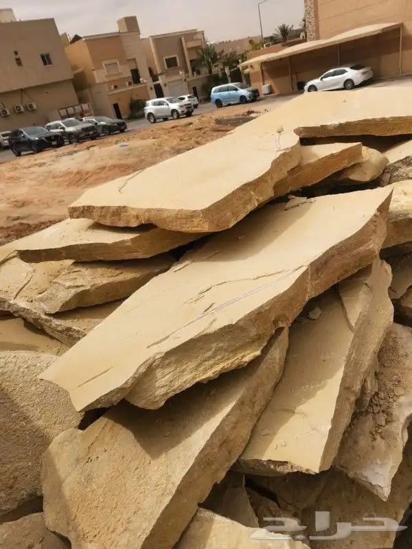 شبوك المزارع والملاعب ونخيل 3