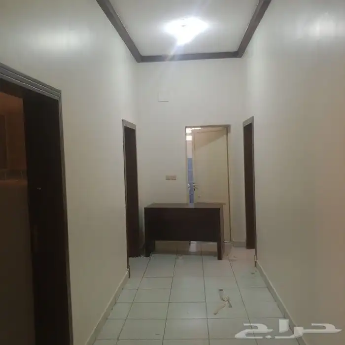 شغل دهان صبغة ديكورات معلم باكستاني 8