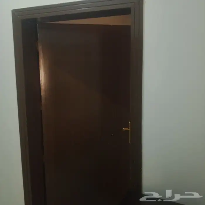 شغل دهان صبغة ديكورات معلم باكستاني 7