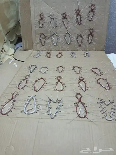 شبك لطرح الصقور 3