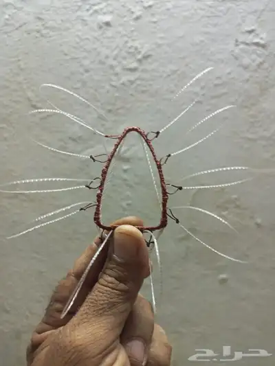 شبك لطرح الصقور 4