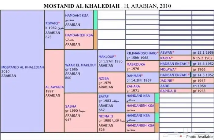 مهره جزيريه 3