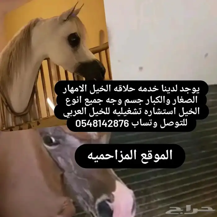 يوجد لدينا خدمه حلاقه الخيل بجميع انواعها استشاره علاجيه 0