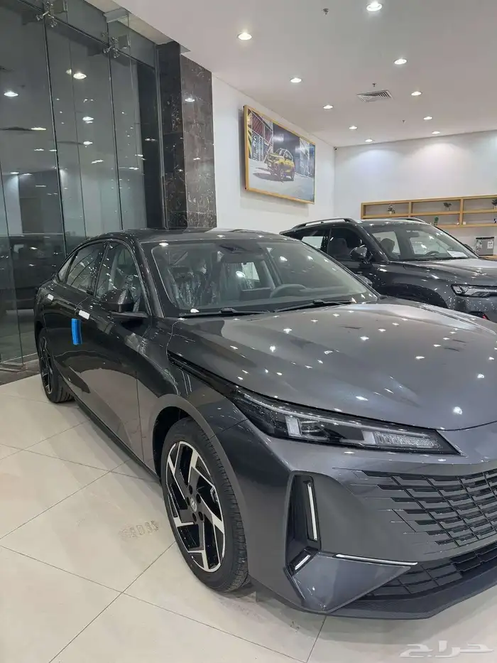 شانجان ايدو ليميتد 2025 2