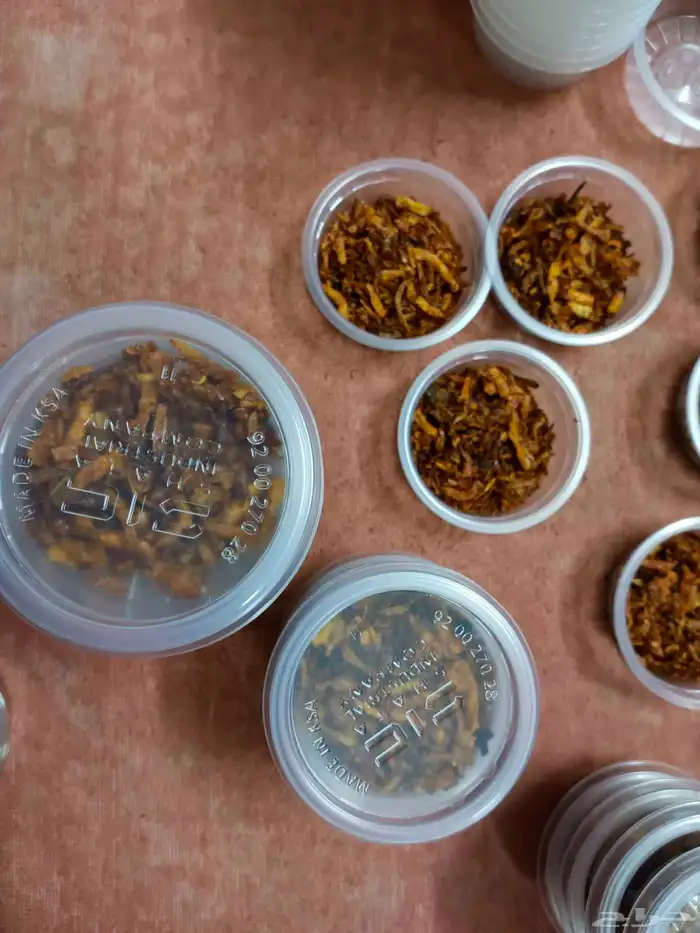 موريسورا بصل وبطاطس مقرمش بفلفل وبدون فلفل حسب الطلب 2